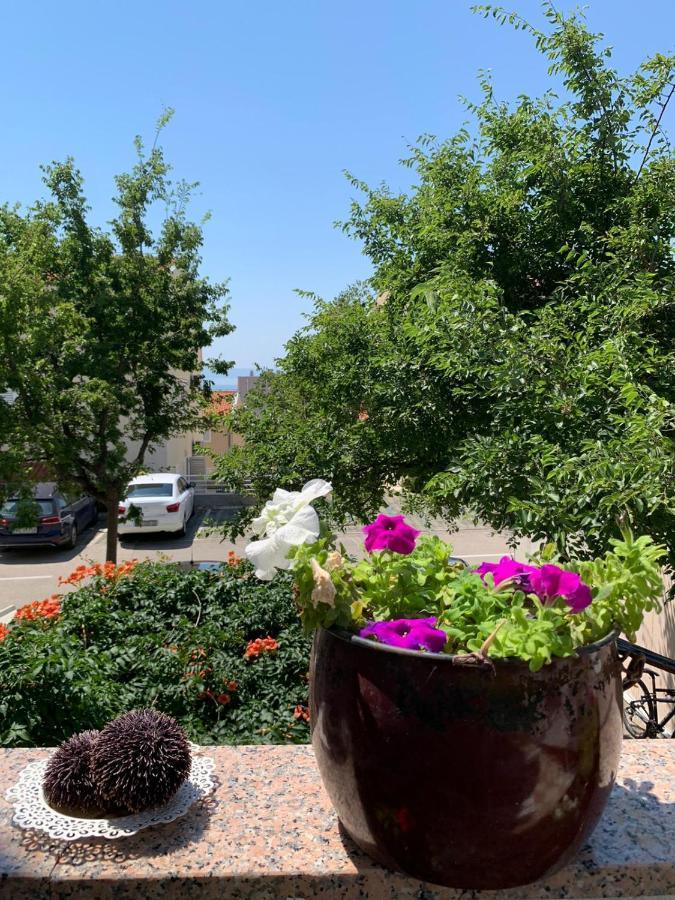 Apartment Mirjana Makarska Bagian luar foto